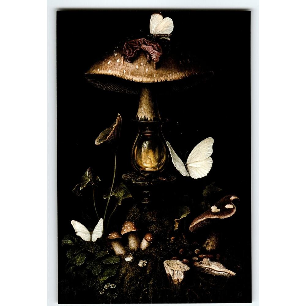 Photochrome Mushroom and White Butterflies Nature Postcard 5.5x4"